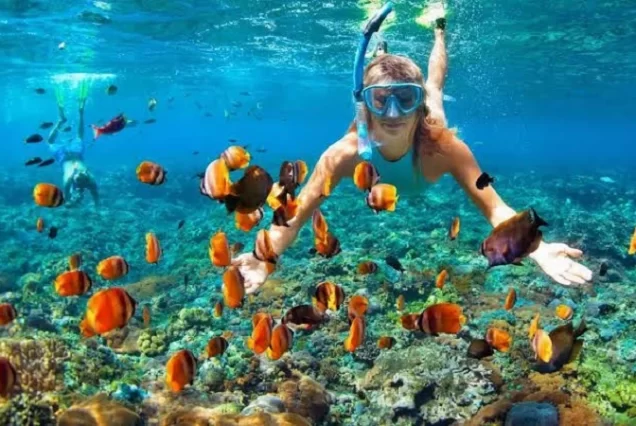 Orange Bay Snorkeling Trip with Lunch