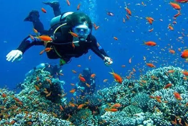 Marsa Alam